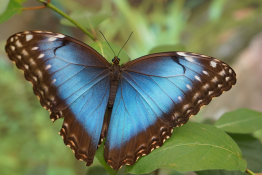 Motylarnia Port Władysławowo